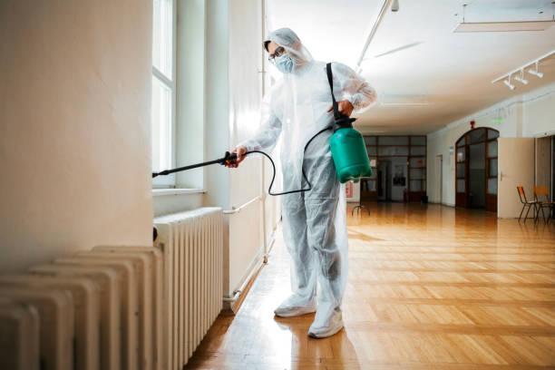 Professional Pest control in Country Knolls, NY